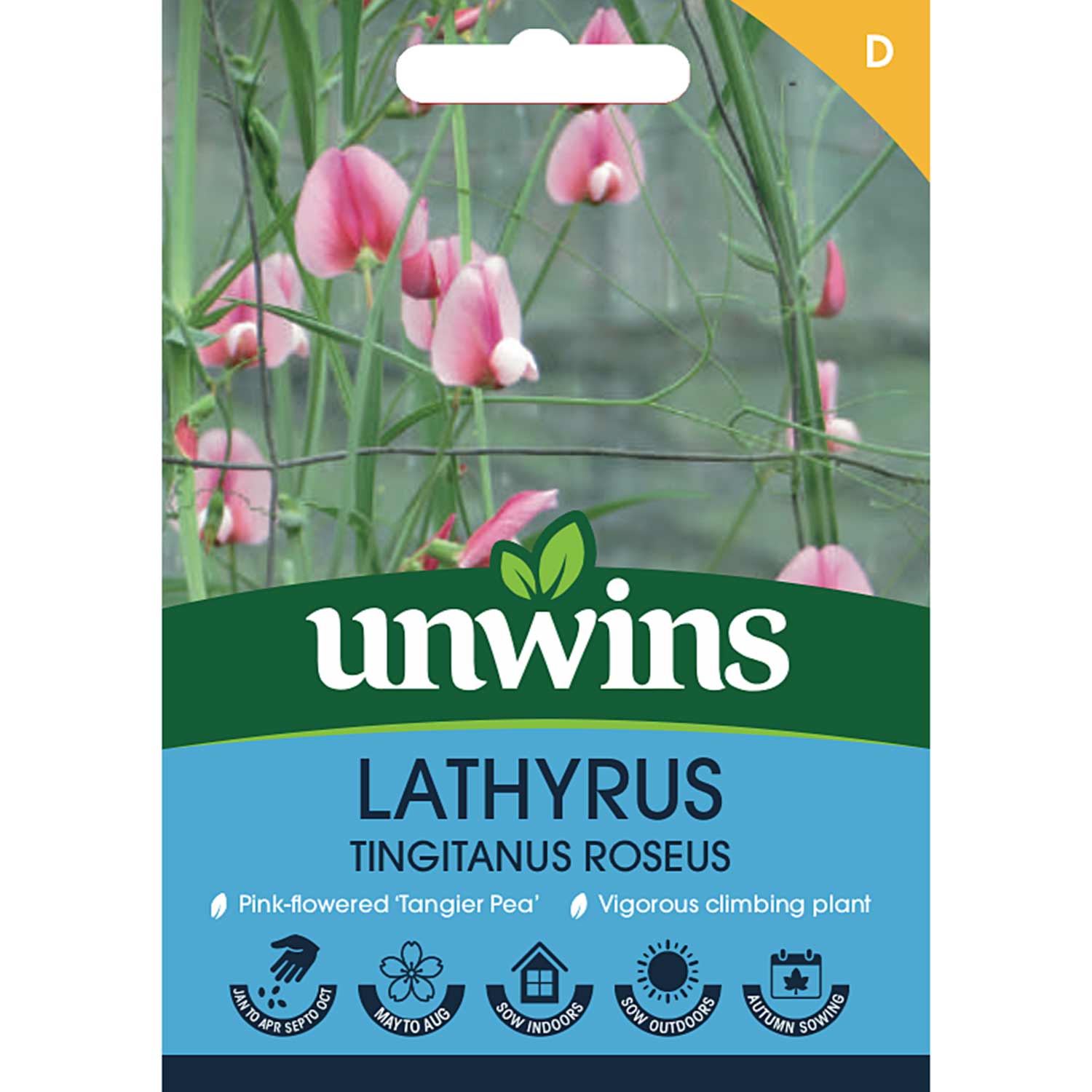 Lathyrus 'roseus Pink' (tangier Pea) | 21 Seeds