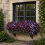 Astonishing Aubrieta Collection - Plug Plants | 3 x Plug Plants | Mixed