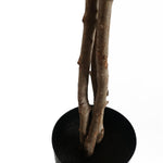 150cm Artificial Forsythia Tree