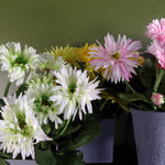 33cm Artificial Potted Daisy White