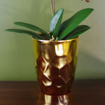Artificial Orchid Plant Dark Pink Gold Pot 54cm
