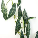 6 X 110cm Artificial Hanging Trailing Dark Green  Plant