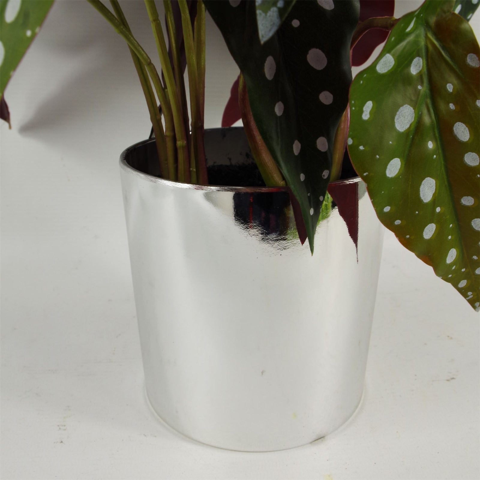 Artificial 40cm Spotty Begonia Maculata Plant