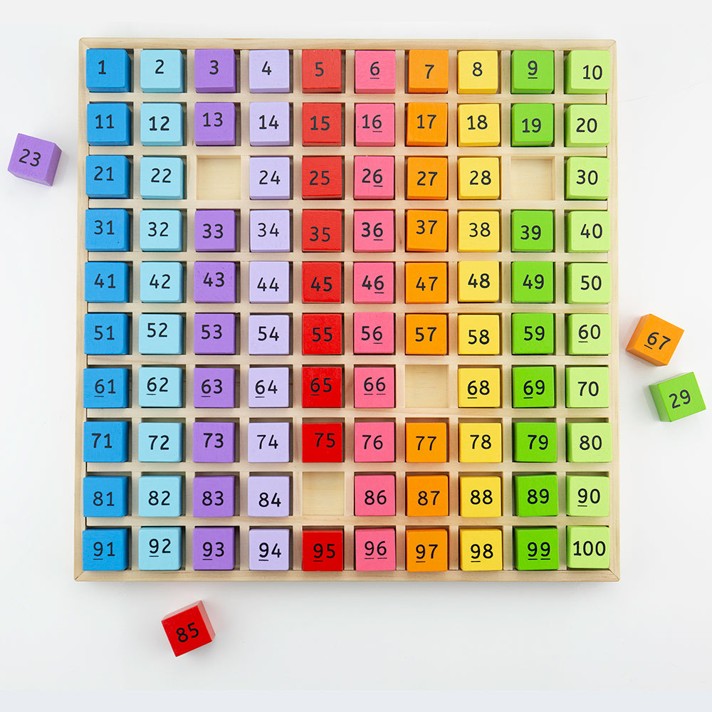 Wooden Number Tray, Kids Maths Toy - 100 Pieces