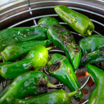 Chilli Plant 'padron' 50cm - Mild Spanish Tapas Pepper | 6 x 9cm | Green