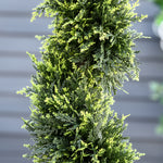 Set Of 2 90cm Artificial Spiral Topiary Trees With Pot