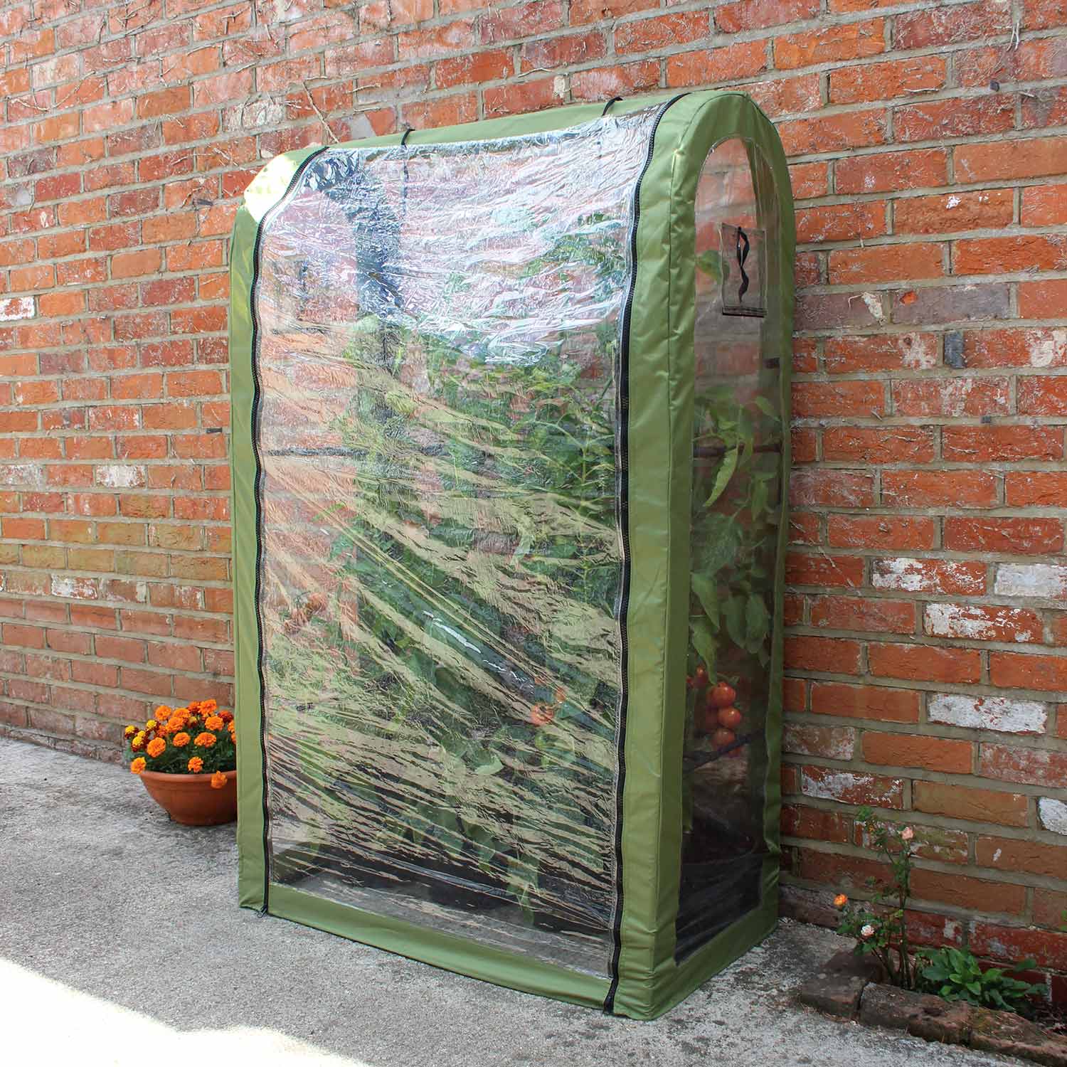 Tomato Crop-booster Poly Cover | Clear