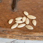 Cucumber Seeds Delistar F1 | 8 Seeds | Green