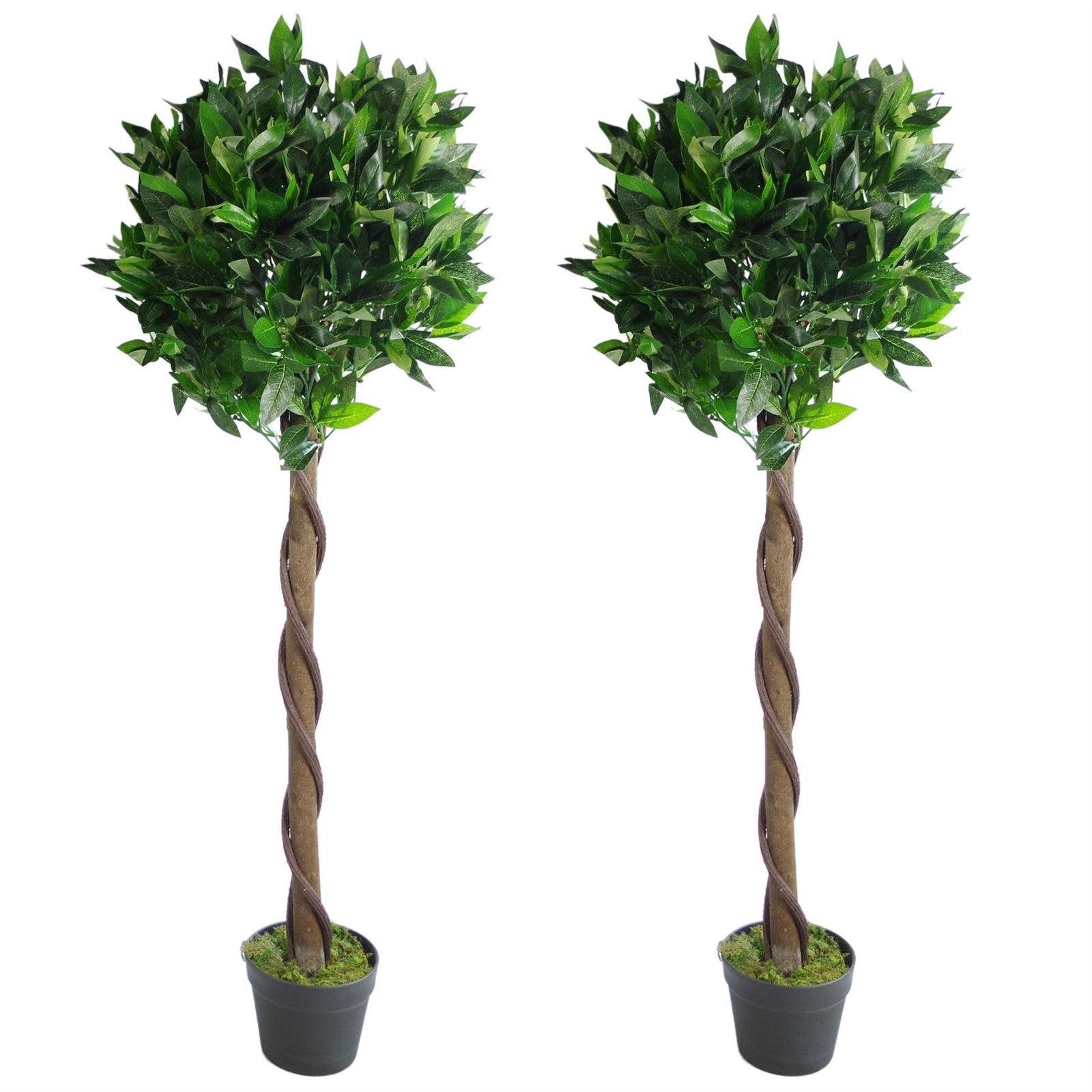Pair Of 120cm Twisted Stem Artificial Topiary Bay Laurel Ball Trees