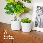 18cm Round Plant Pot Set Of 2 - Matt White