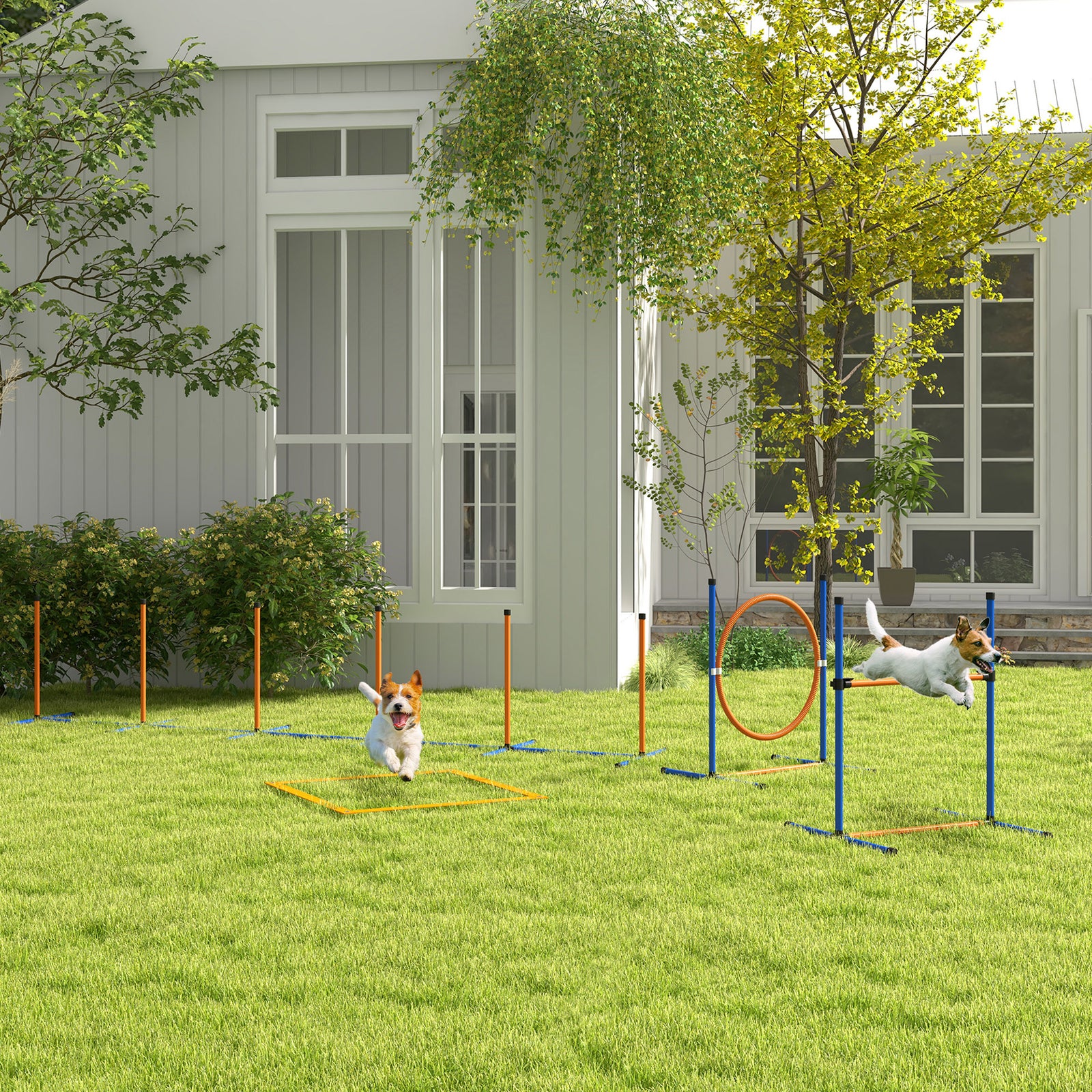 4 Pcs Dog Agility Training Equipment, Dog Outdoor Games W/ Carry Bag