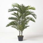 Areca Palm Tree In Pot | 120cm | Green