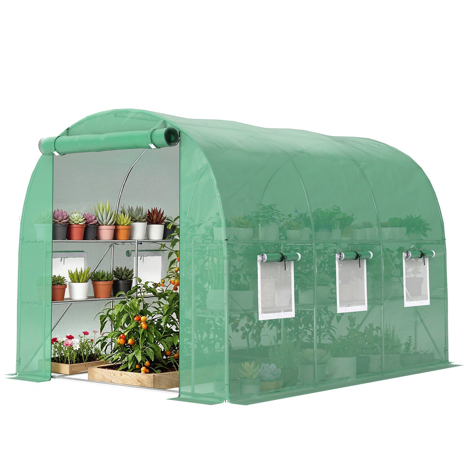Walk-in Greenhouse With Shelves, Green House With Mesh Windows