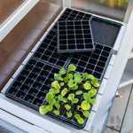 Wooden Growhouse Dove Grey With Uv Polycarbonate Glazing And Adjustable Shelves | Dove Grey