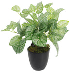 Faux 40cm Artificial Caladium Plant With Pot