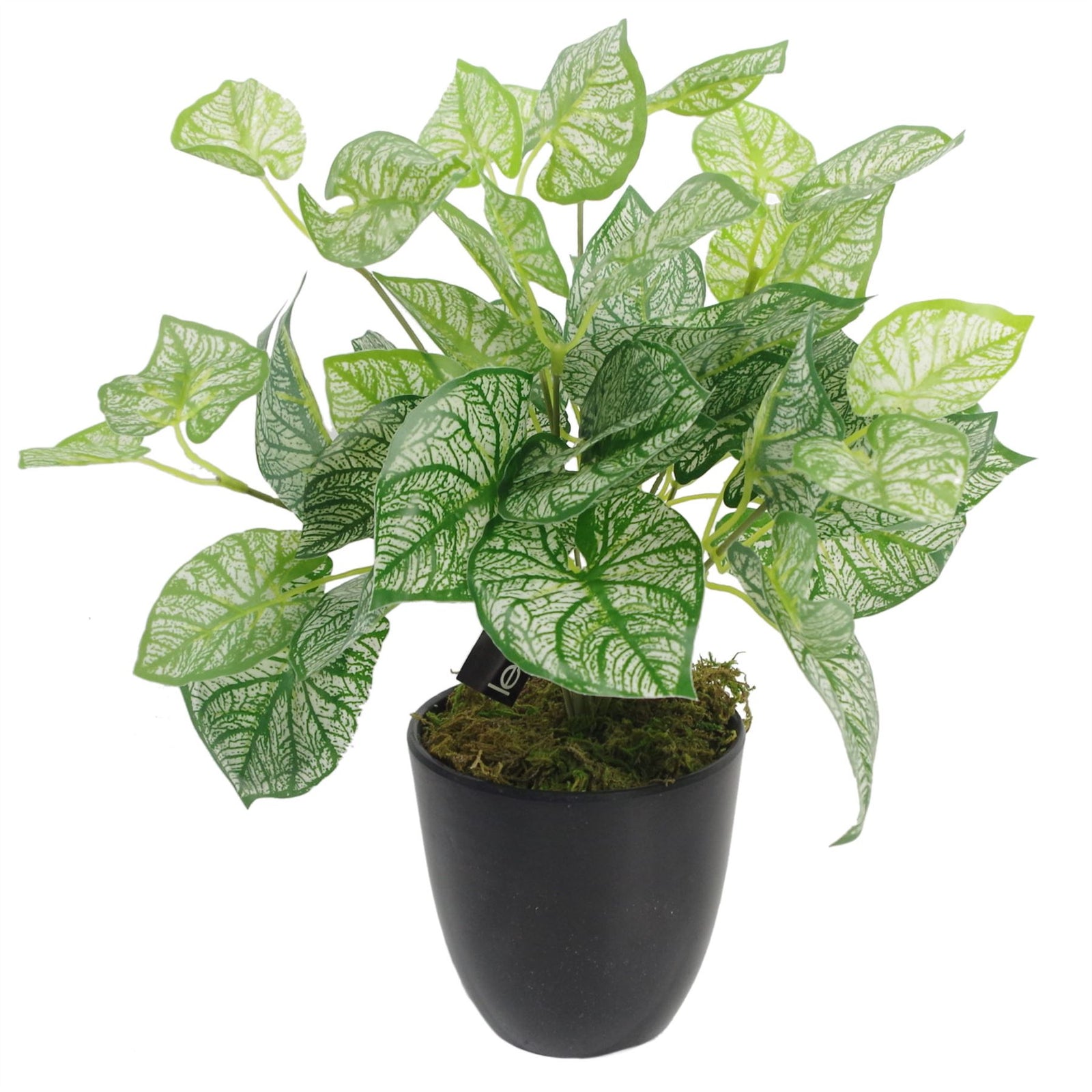 Faux 40cm Artificial Caladium Plant With Pot