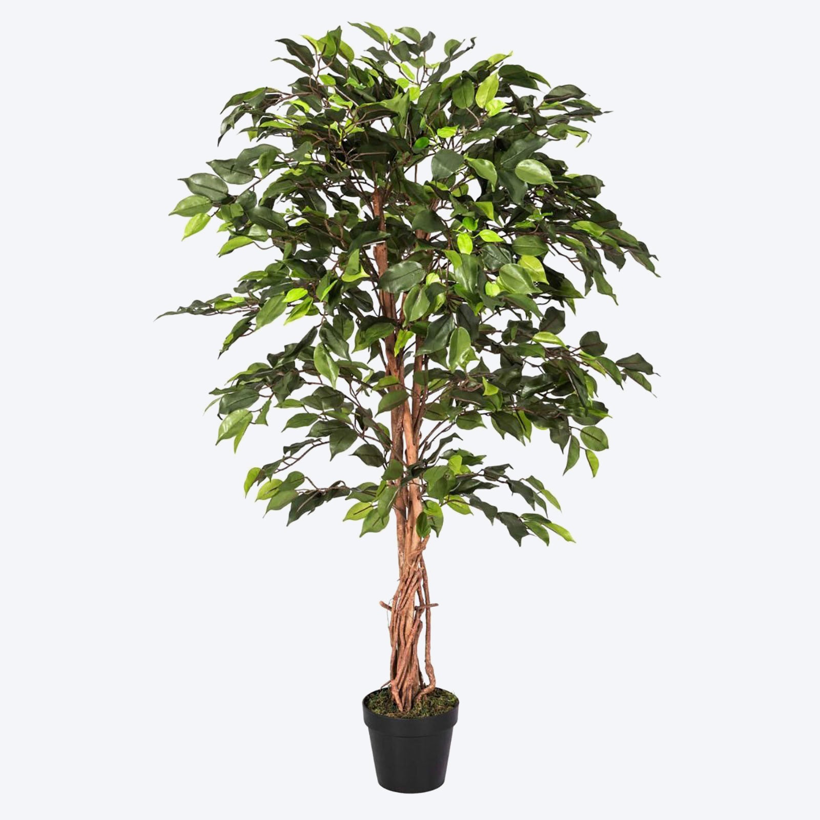 Artificial Handcrafted Ficus Tree With Real Wood Trunk | 4ft | Green