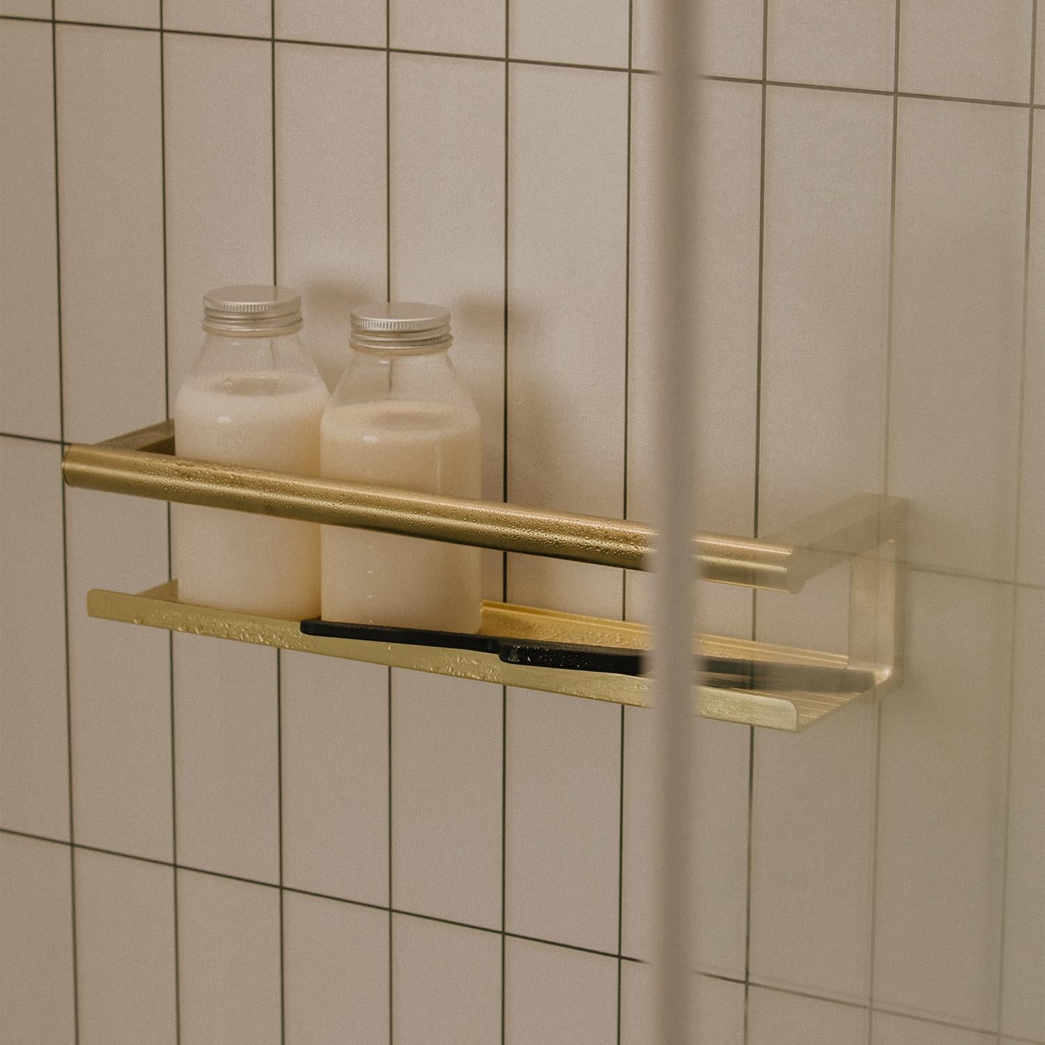 Bathroom Shelf, Organizer Glass Wiper Matt Steel Architect S+ Collection