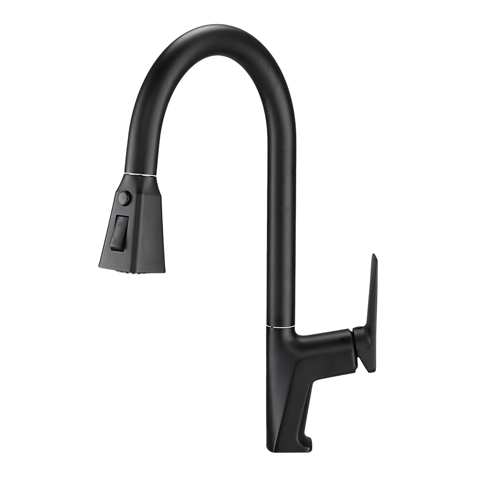 Kitchen Faucet With Pull Out Sprayer | Black