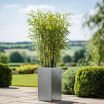 Zinc Galvanised Tall Square Planter | 32cm x 32cm x 75cm | Silver Black