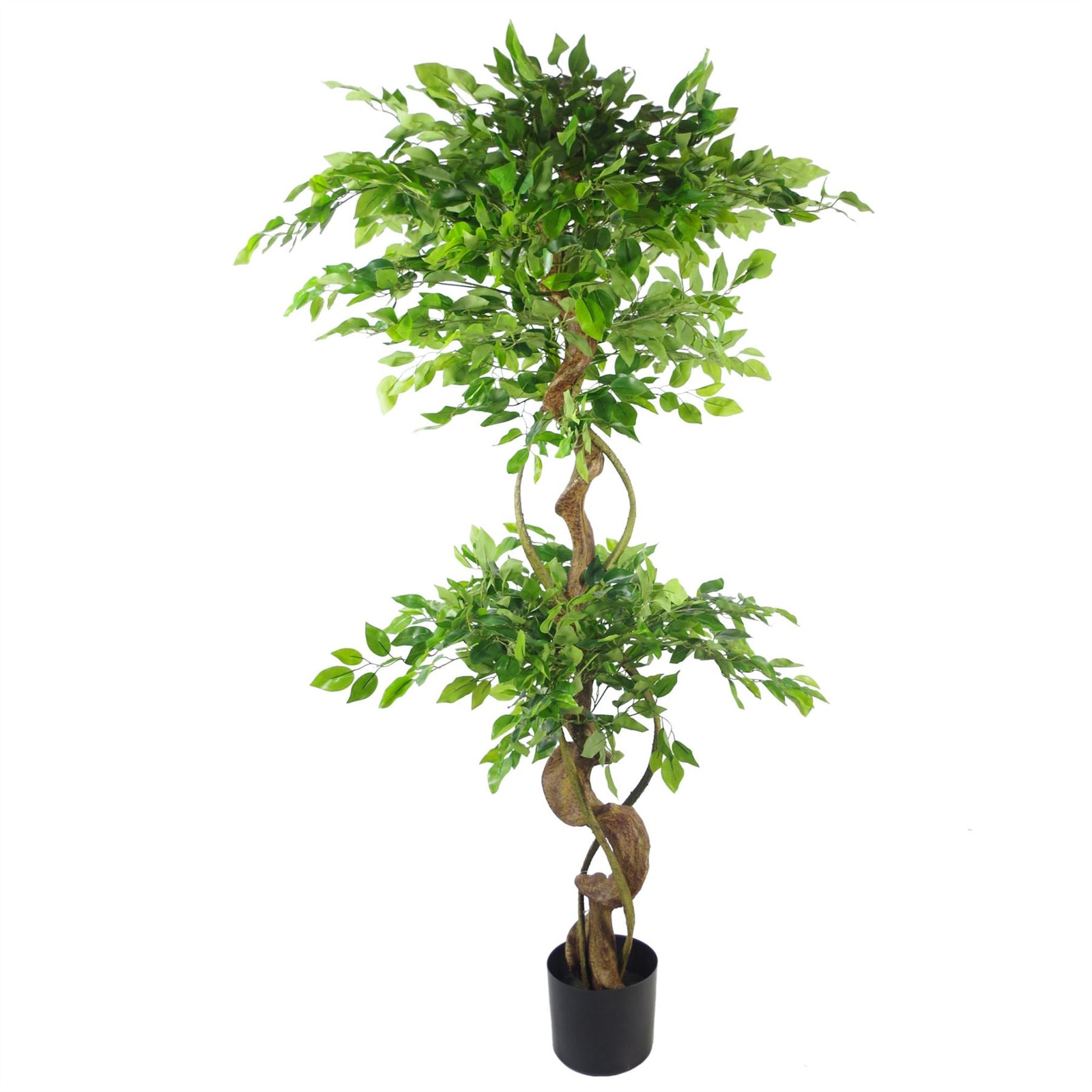 Artificial 150cm Twisted Trunk Fruticosa Ficus Tree Silver Planter