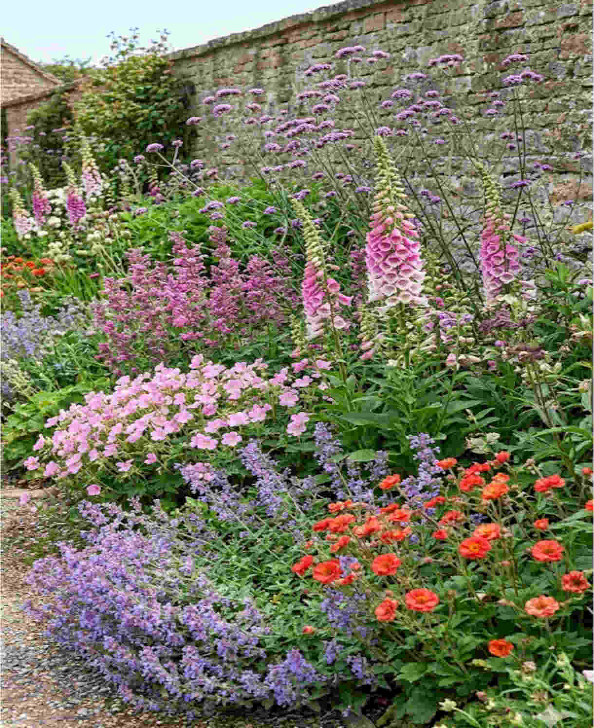 Classic Cottage Garden Border Collection - 2l Garden Ready Pots. | Set of 18 | Multi