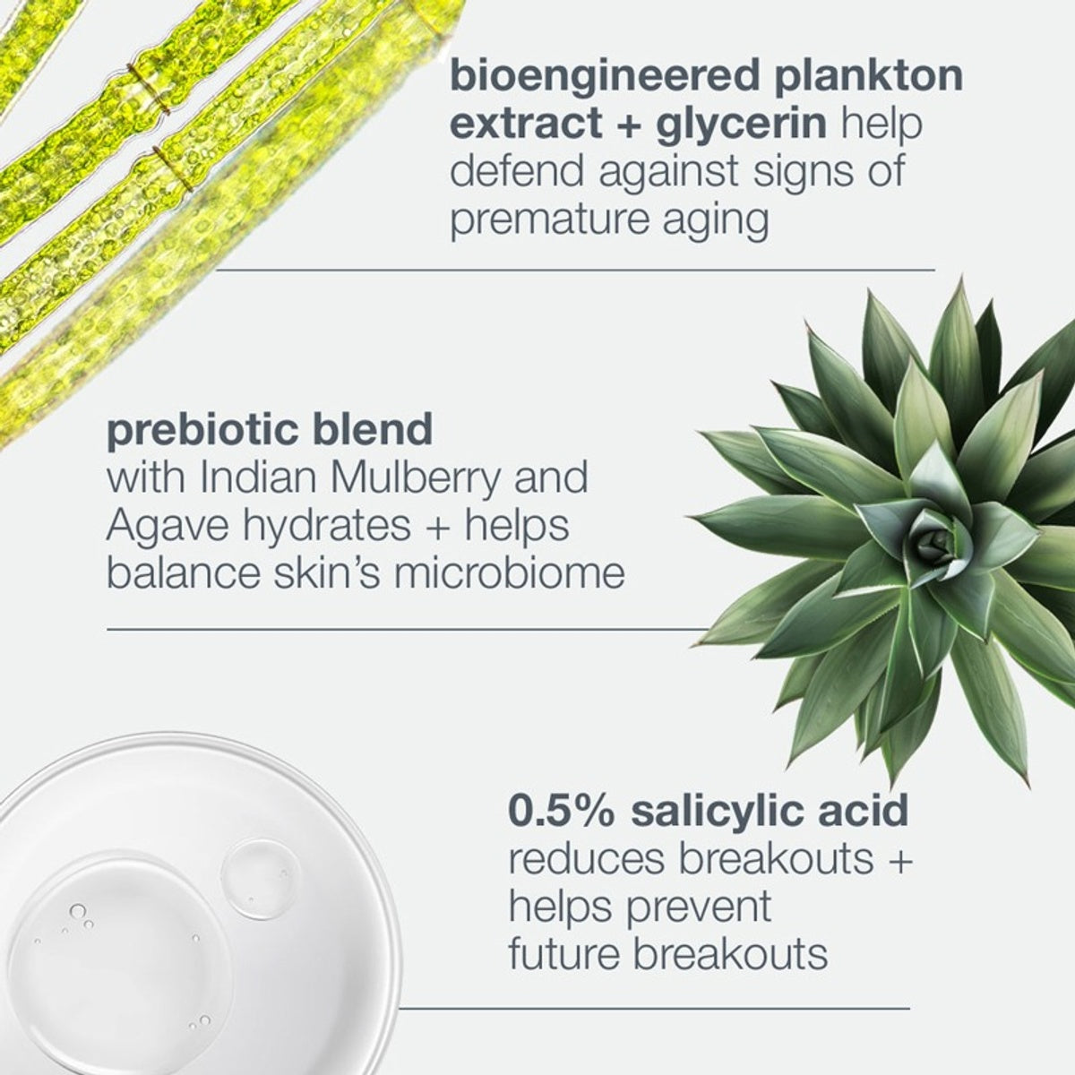 Breakout Biotic Moisturiser 50ml