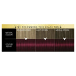 Oleo Intense 4-23 Ammonia Free Permanent Oil Colour Burgundy Red 3x