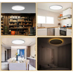 Bath Plus TB+ Dimmable Led Flush Mount Ceiling Light