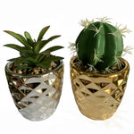 15cm Set Of Two Silver And Gold Ceramic Planters With Artificial Cactus And Dracaena