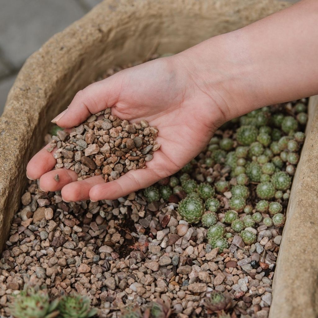 Potting Grit - Decorative, Free-draining Grit For Pots | 20kg