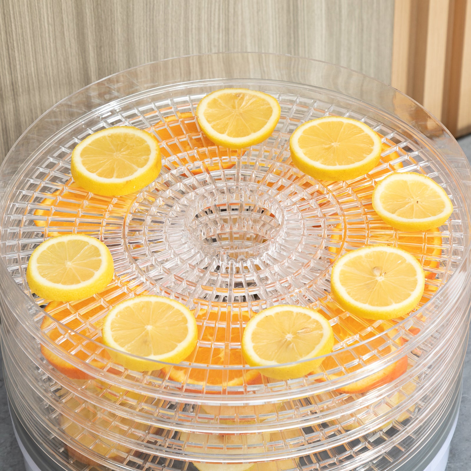 5 Tier Food Dehydrator For Drying Fruit Meat Vegetable
