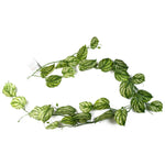 6 X 180cm Artificial Hanging Trailing Devil's Ivy Plant