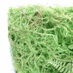 60cm Artificial Look Greenwall Ferns