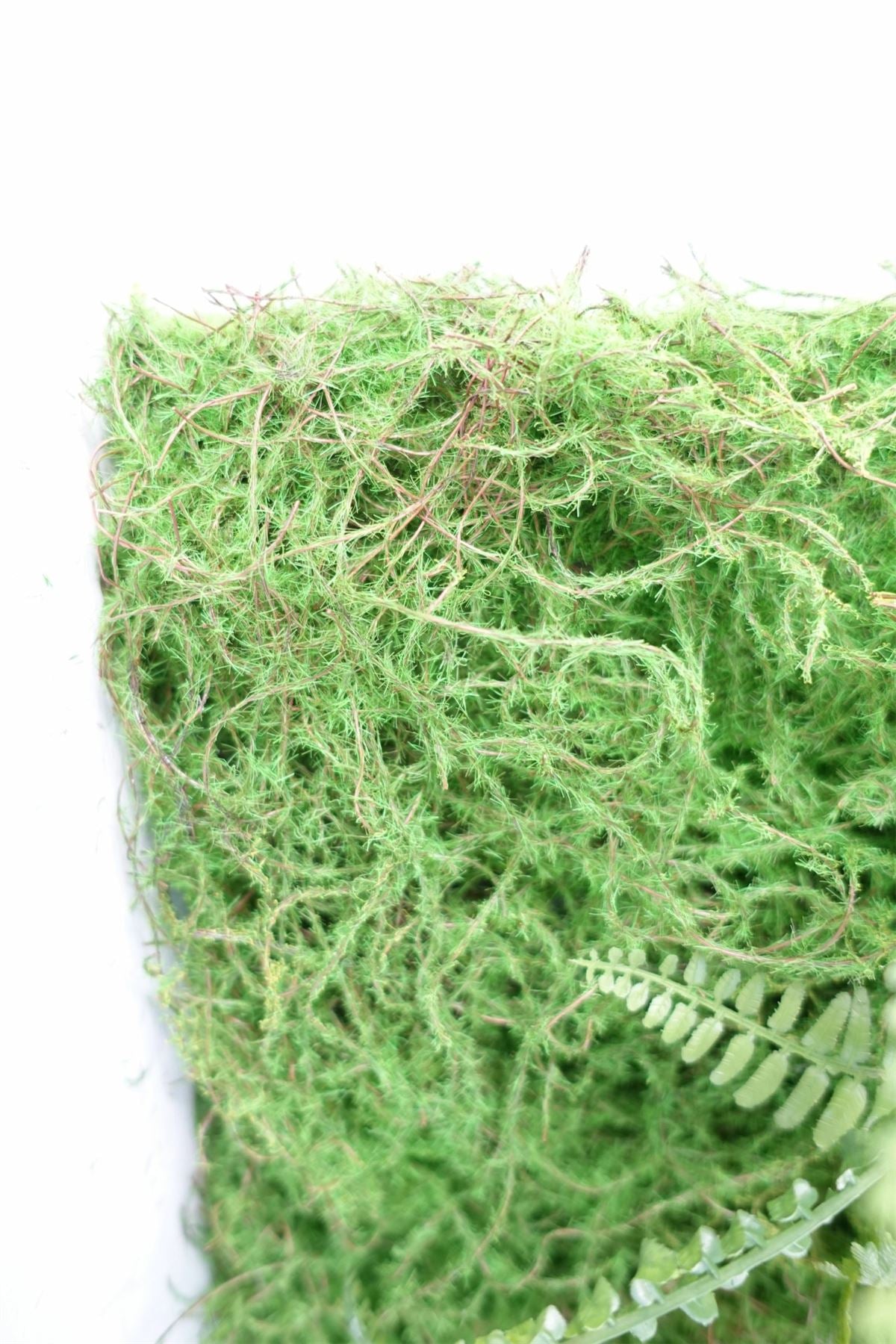 60cm Artificial Look Greenwall Ferns