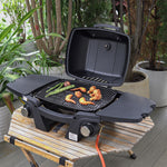 Portable Gas Grill Propane Grill With Side Tables