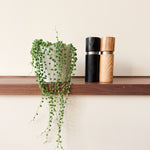 String Of Pearls - Senecio Rowleyanus - Height 10-20cm - ⌀12cm | Set of 1 | Green