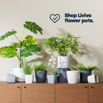 18cm Round Plant Pot Set Of 2 - Matt Grey