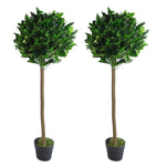 Pair Of 120cm (4ft) Plain Stem Artificial Topiary Bay Laurel Ball Trees