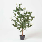 Artificial Peony Tree In Black Pot, 100 Cm Tall | 100cm | Beige