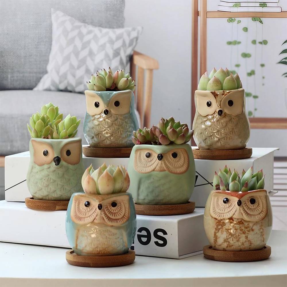 6pcs Mini Ceramic Owl Succulents Plant Pot With Plant Saucers