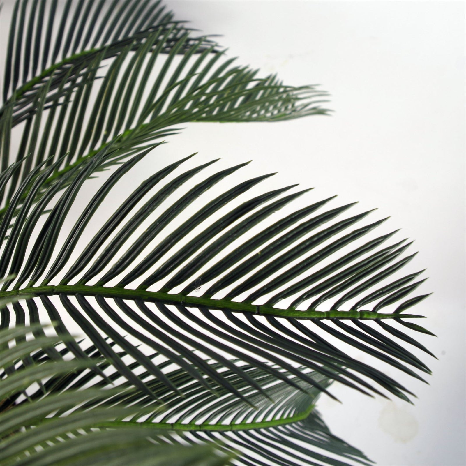 Large Artificial Palm Tree 80cm Cycas Realistic Plant Leaf Design Uk Botanik