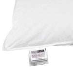 Premium Goose Down Euro Square Pillow 65 X 65 Cm