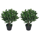 Pair Of 50cm Dwarf Artificial Bay Trees Laurel Topiary Bushes