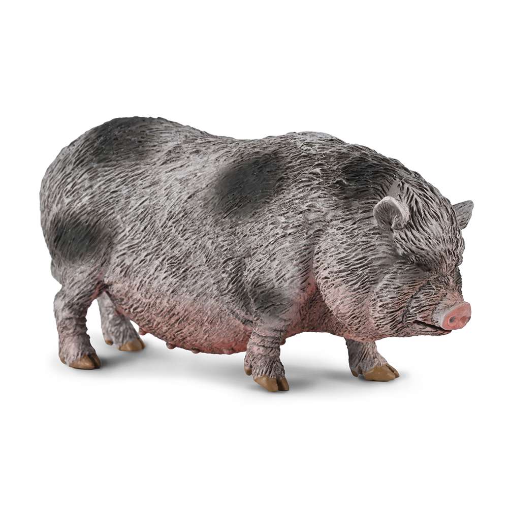 CollectA Pot-bellied Pig