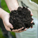 Organic Extra Fertiliser And Soil Improver | Set of 1