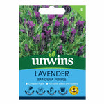 French Lavender Seeds Bandera Deep Purple | 10 Seeds | Purple & Green