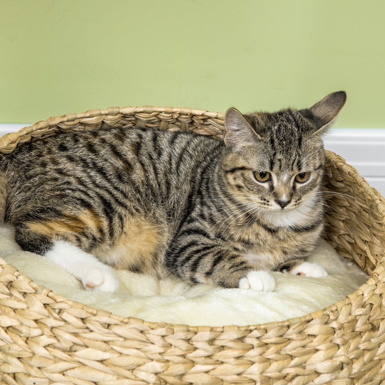 72cm Cat Activity Centre W/ Two Bed, Toy Ball, Sisal Scratching Post