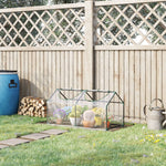 Mini Greenhouse W/ Plastic Cover - Clear