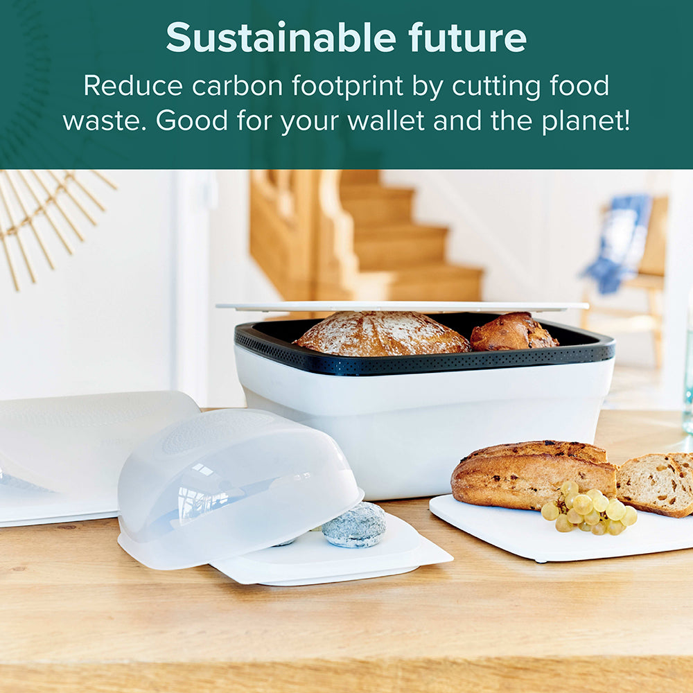 BreadSmart Large | Large | White